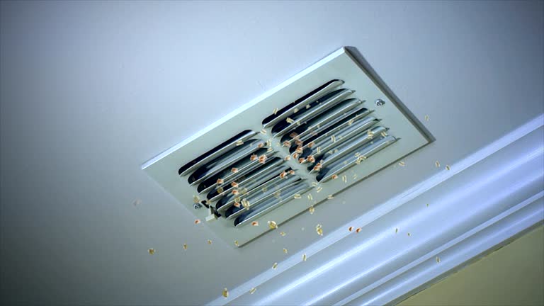 Best Air Duct Cleaning Near Me  in Sconsin Dells, WI